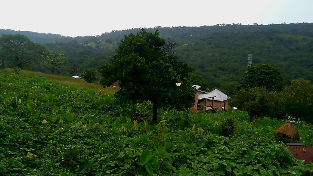 Cases dans un paysage verdoyant